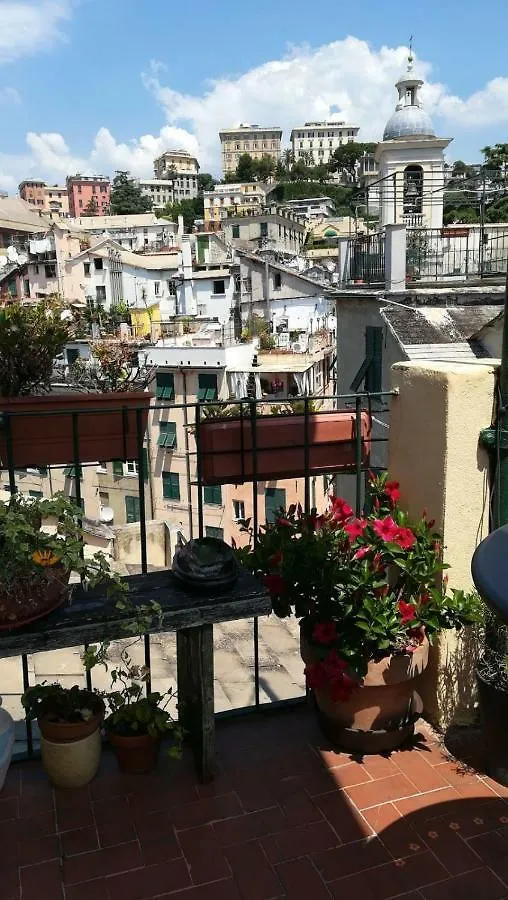 Hotel Il Geco Janov