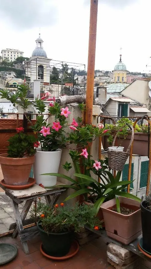Guest house Il Geco Hotel Genoa