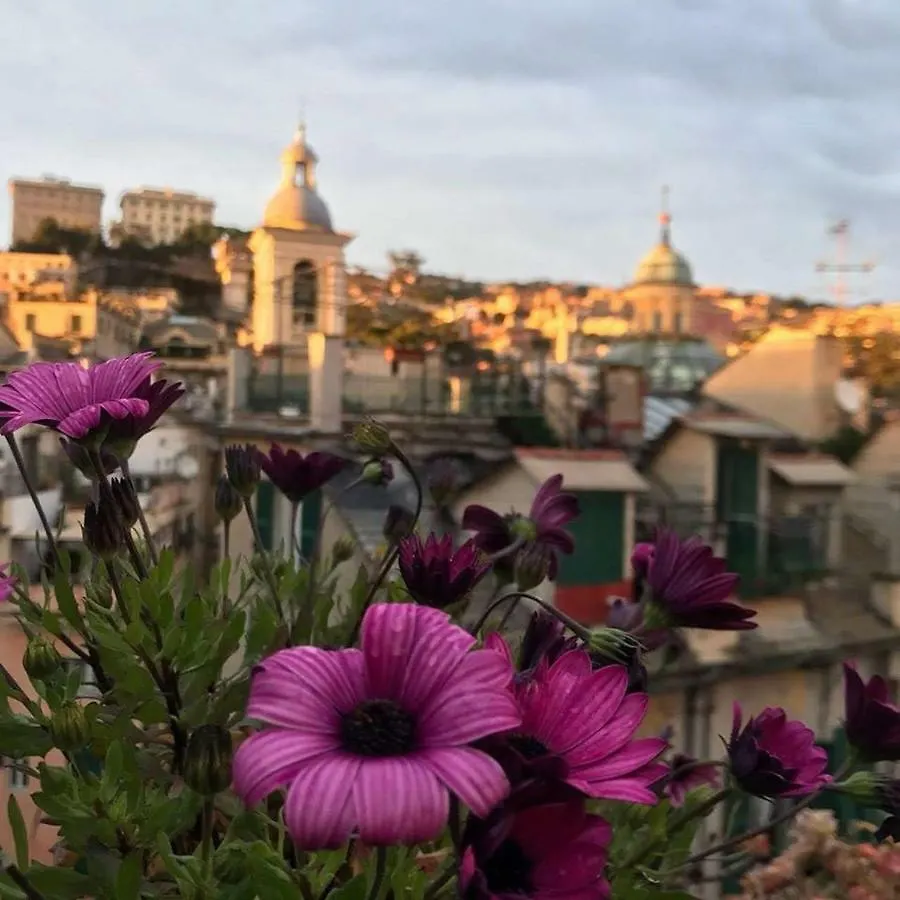Il Geco Hotel Genoa 0*,  Italy